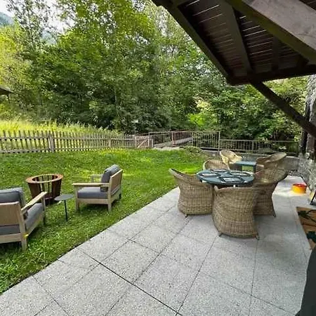 Modern Garden With And Pool